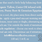 Balance Hormone Cream